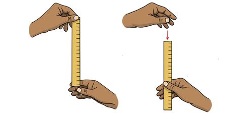 ruler drop experiment